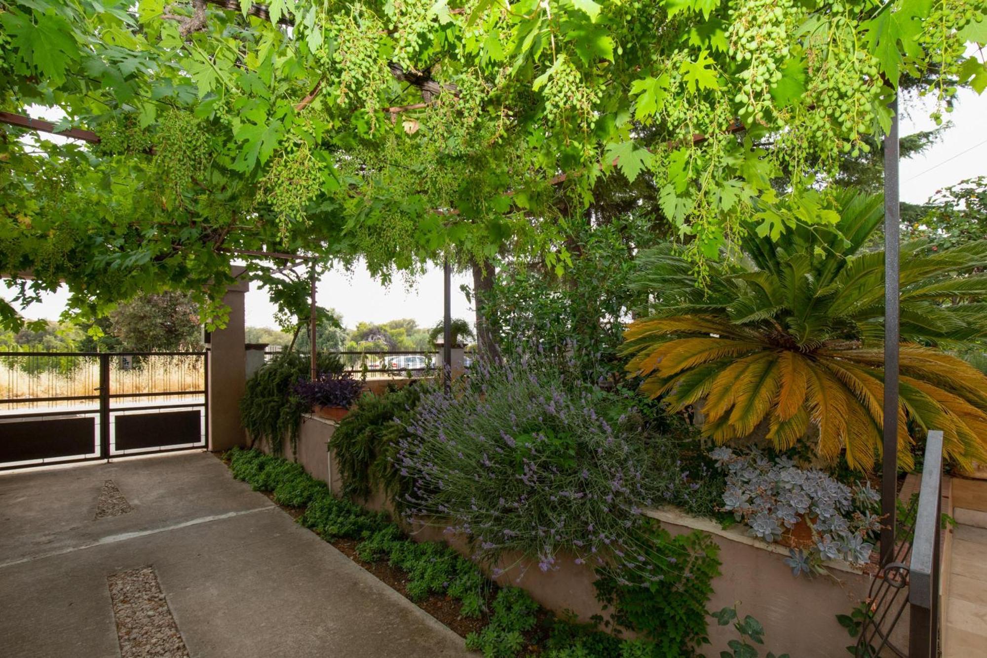 Pool Apartment Bakija 2 - Happy Rentals Pakoštane Eksteriør bilde